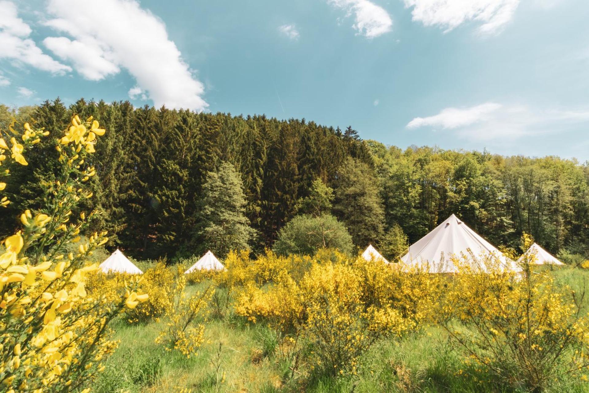 Daft Hotel & Glamping Malmedy Εξωτερικό φωτογραφία